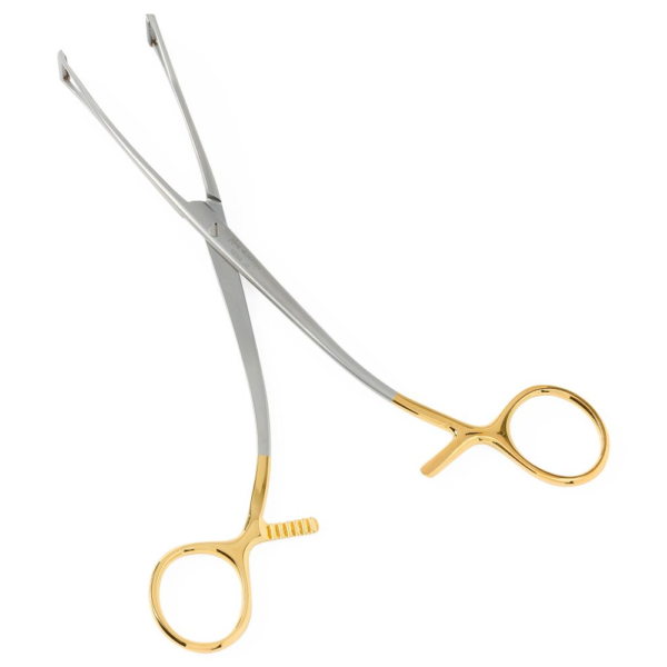 Intestinal Forceps – RazBioTech
